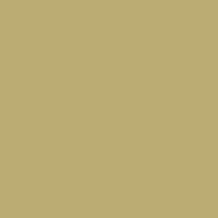 Prismacolour Pencil - Bronze (1028)