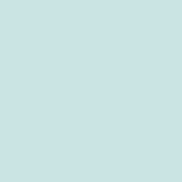 Prismacolour Pencil - Cool Grey 50% (1063)