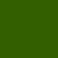 Prismacolour Pencil - Kelp Green (1090)