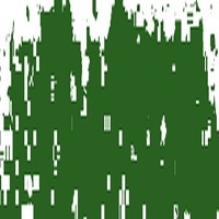 SCHMINCKE PASTEL LEAF GREEN DEEP 070B