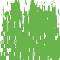 SCHMINCKE PASTEL MOSSY GREEN 1 075B