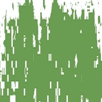 SCHMINCKE PASTEL BOHEMIAN GREEN 083H