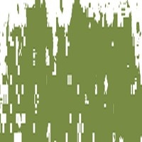 SCHMINCKE PASTEL OLIVE GREEN 1 085D