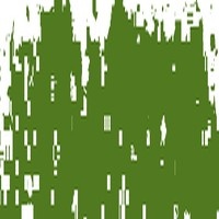 SCHMINCKE PASTEL OLIVE GREEN 2 086B