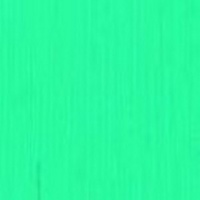 AS OIL 40ML TURQUOISE 