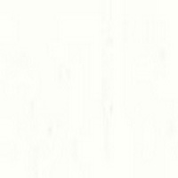 AS OIL 40ML TITANIUM WHITE 