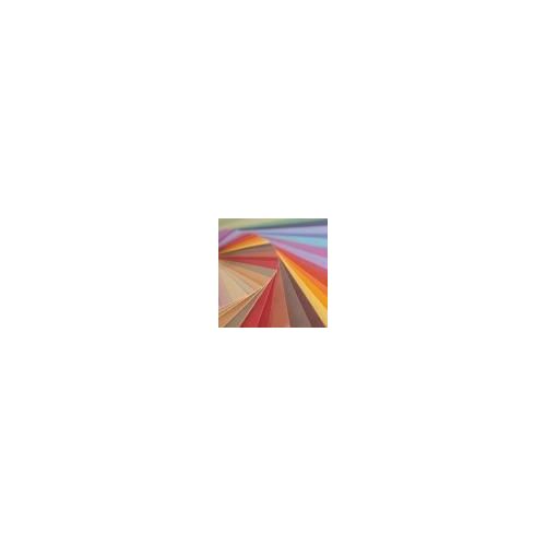 Canson Mi-Teintes Sheets 500x650mm 160 GSM