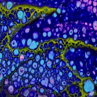 Resin and Pouring Art 